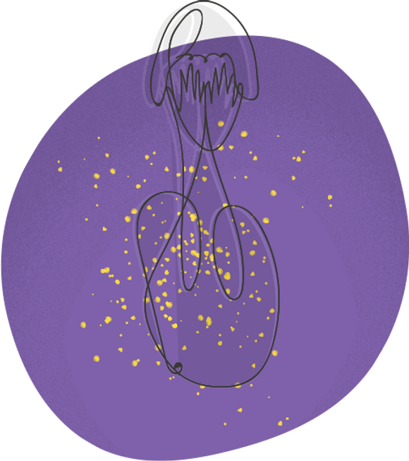 Kovács Tímea Erika